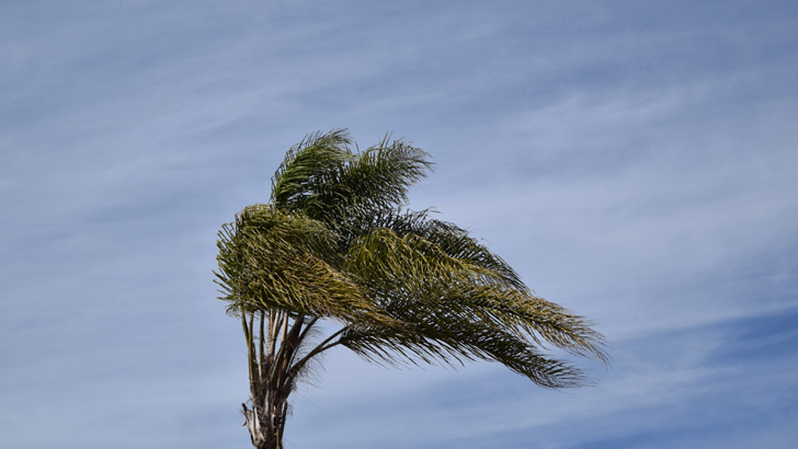 ১০ জেলায় ঝড়ো হাওয়ার শঙ্কা